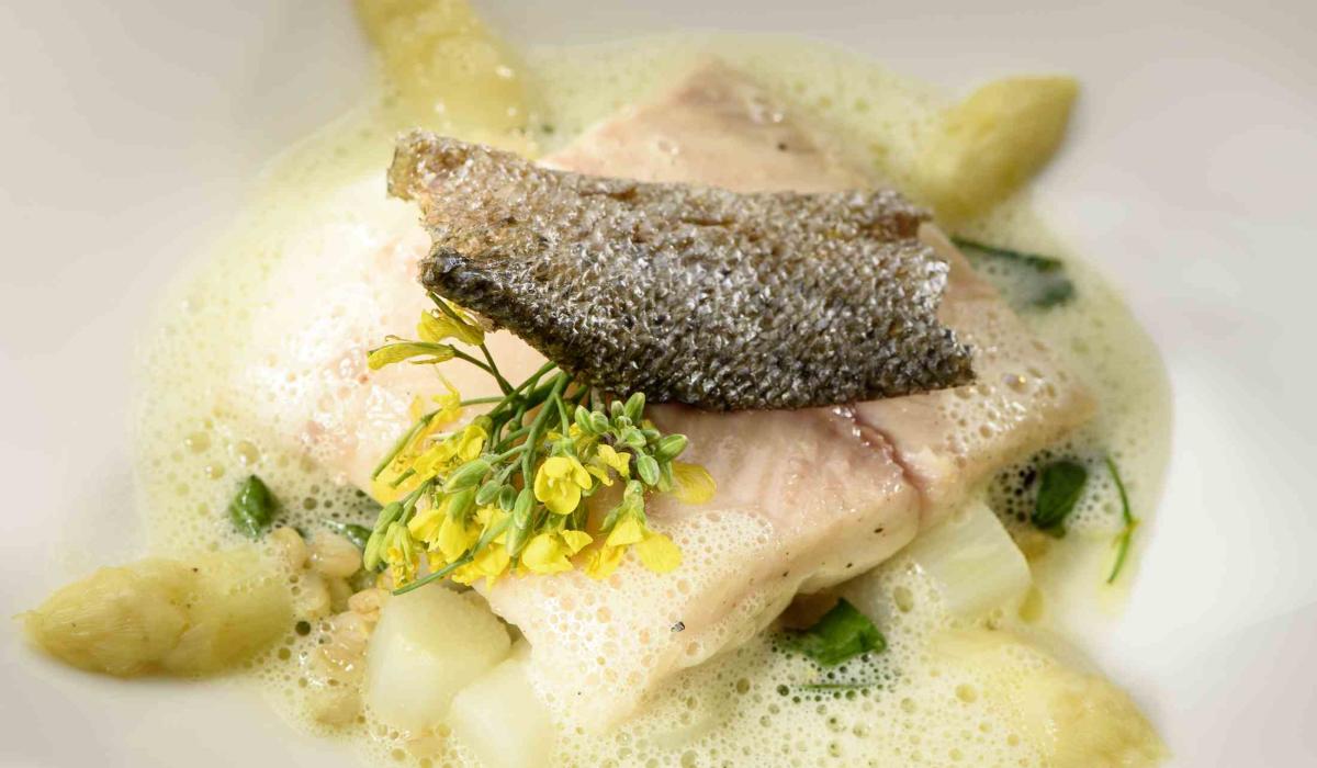 Spargel
