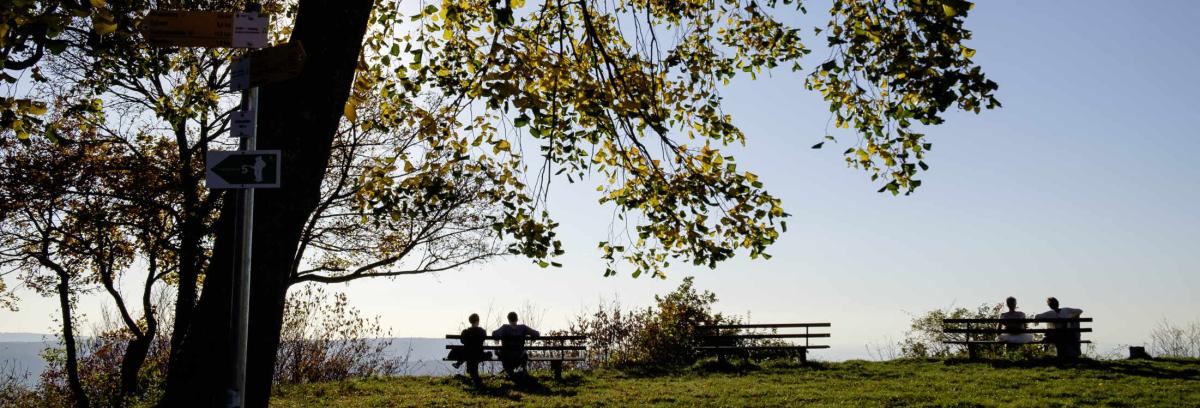 Zwei Spaziergänger auf einer weiten Wiese der Schwäbischen Alb, im Vordergrund ein Baum im Gegenlicht