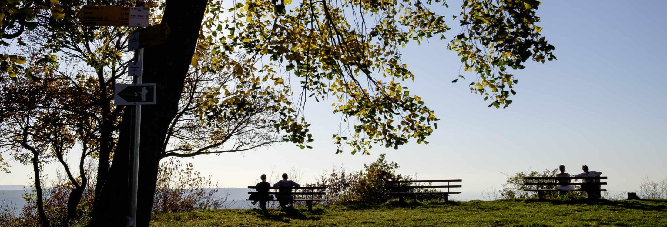 Zwei Spaziergänger auf einer weiten Wiese der Schwäbischen Alb, im Vordergrund ein Baum im Gegenlicht