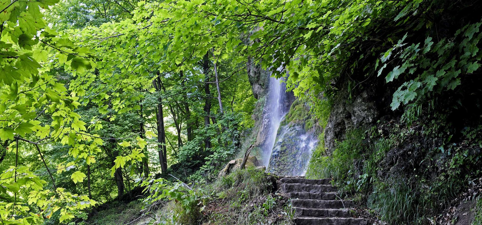 Wandern auf der Schwäbischen Alb