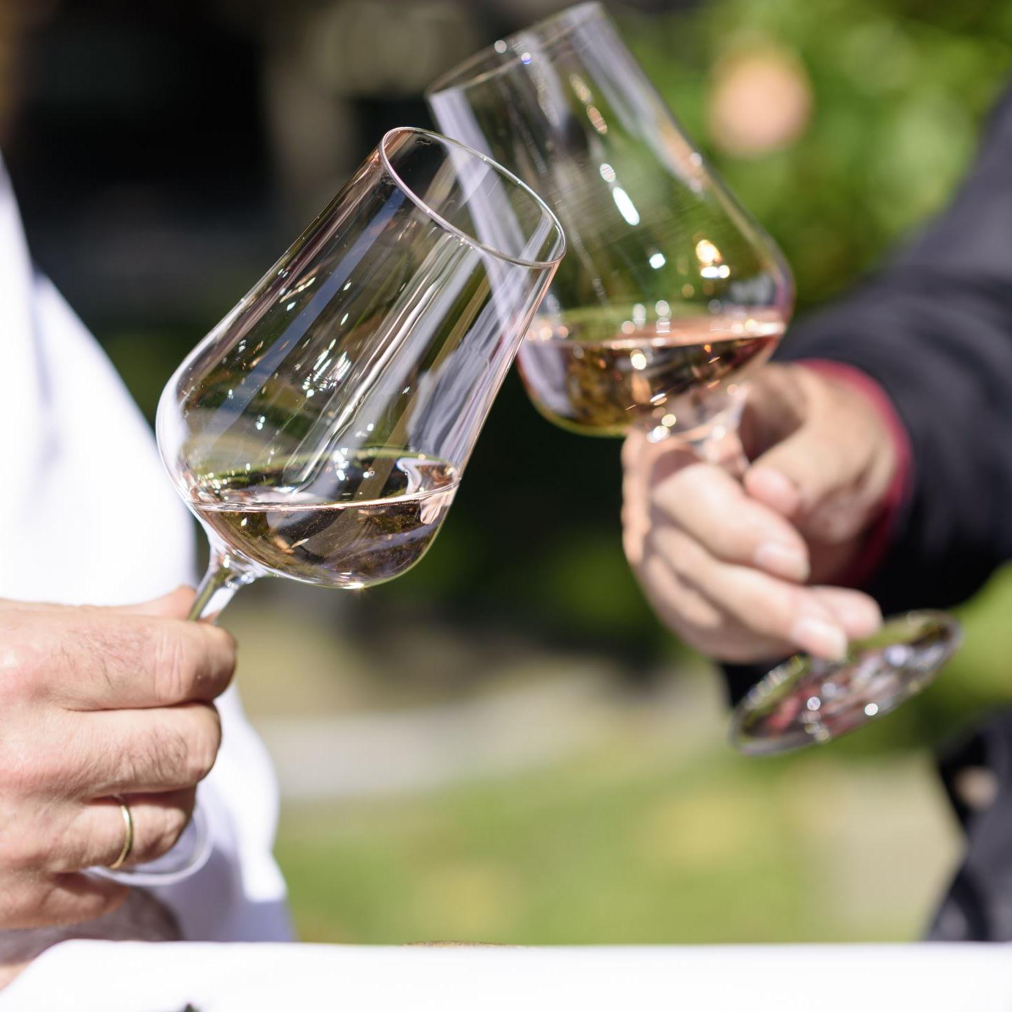 Wein genießen Wein genießen