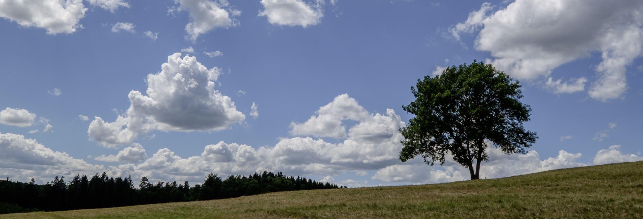 Wetter in Sonnenbühl