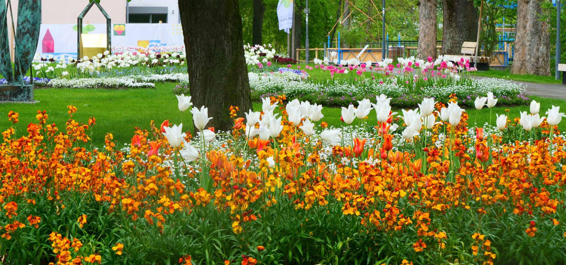 Gartenschau Balingen 2023