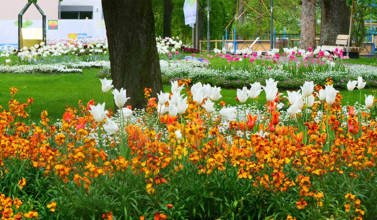 Gartenschau Balingen 2023