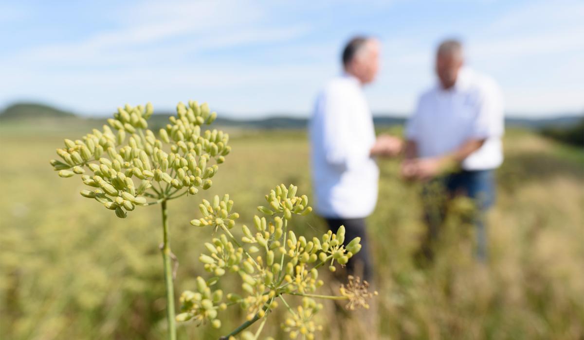 Hirsch Kulinarik trifft regionale Lieferanten