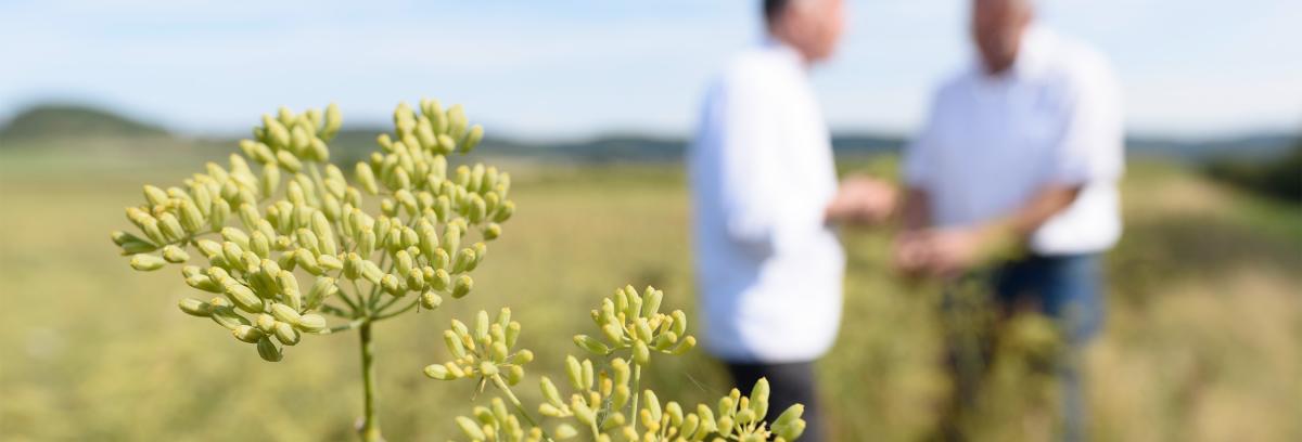 Hirsch Kulinarik trifft regionale Lieferanten