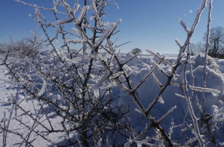 Winterlandschaft rund um das Romantik Hotel Hirsch in Sonnenbühl-Erpfingen