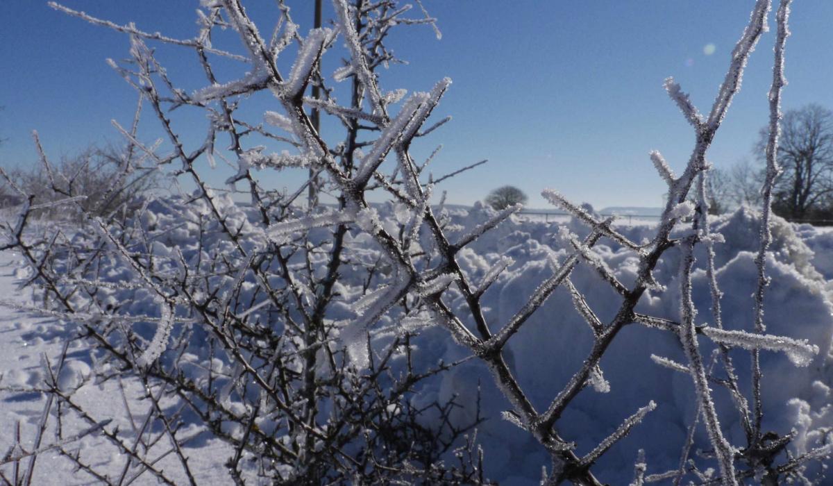 Winterspaziergang