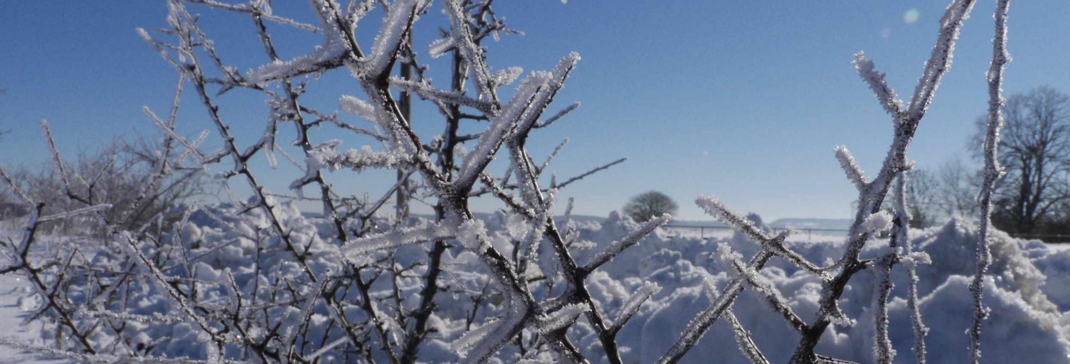 Winterspaziergang