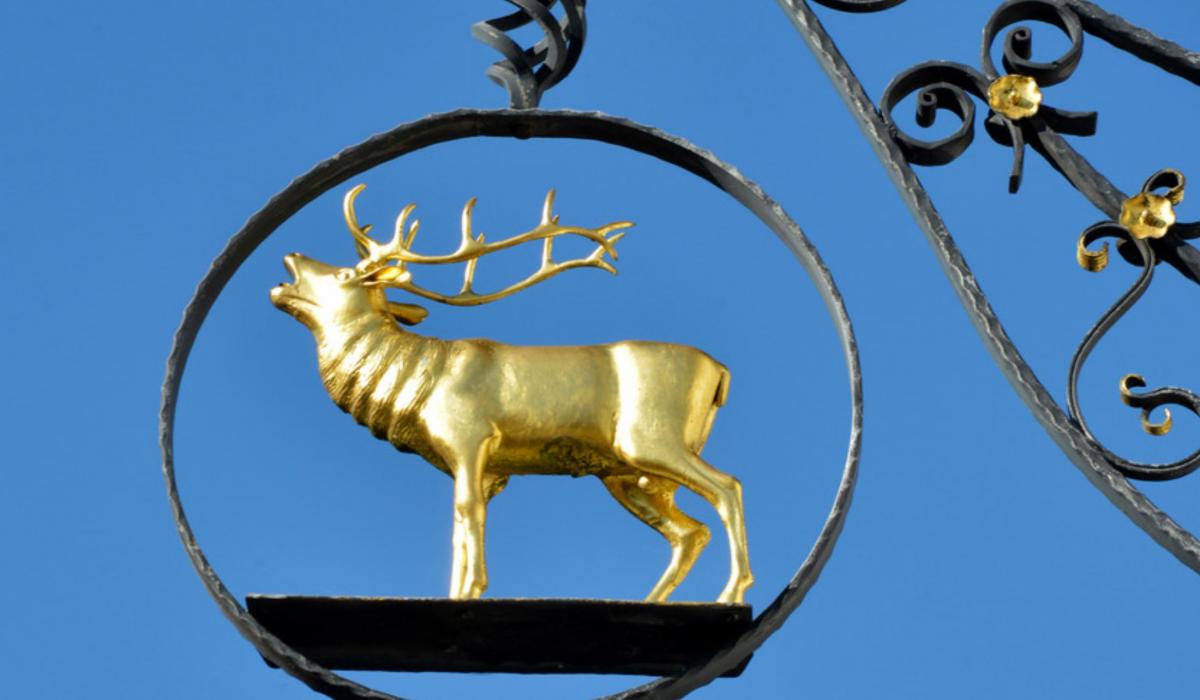 Hirsch