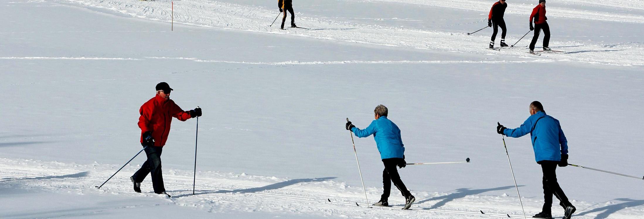 Cross-country skiing