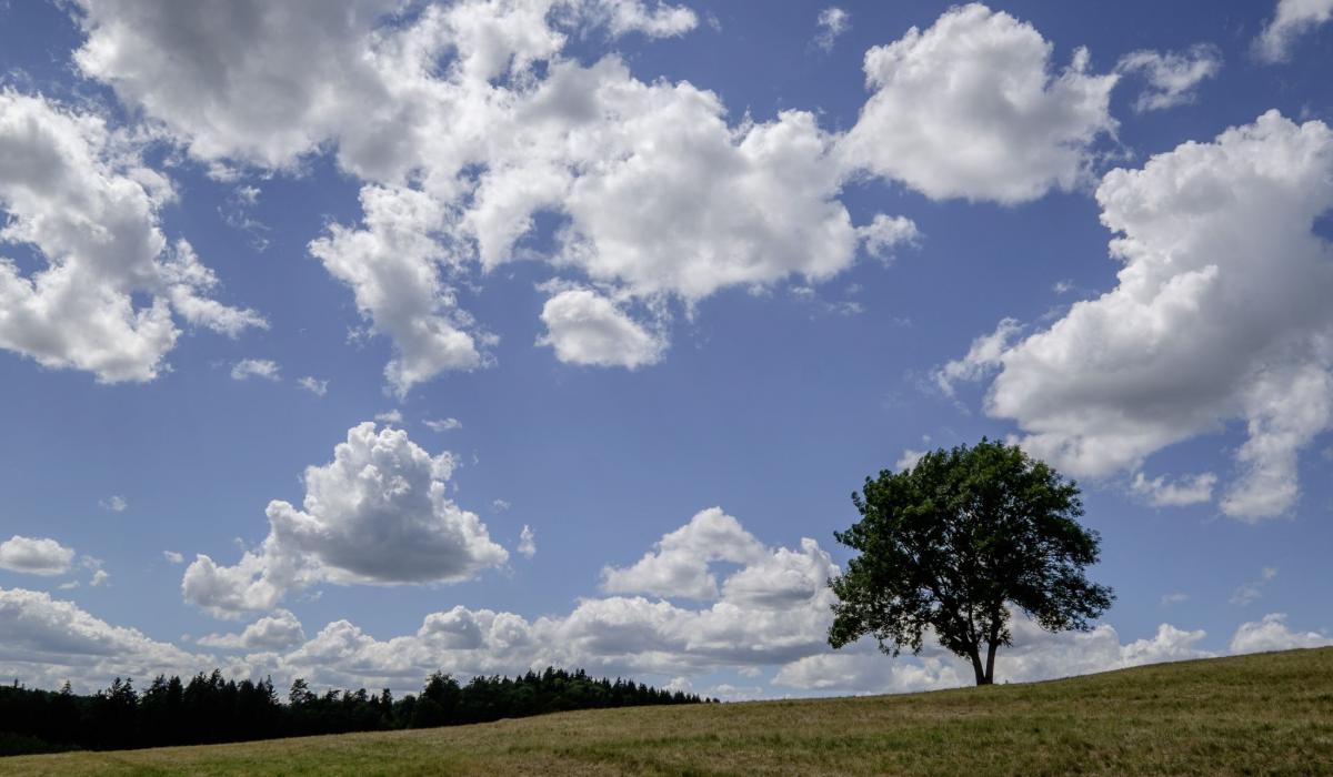 Weather in Sonnenbühl